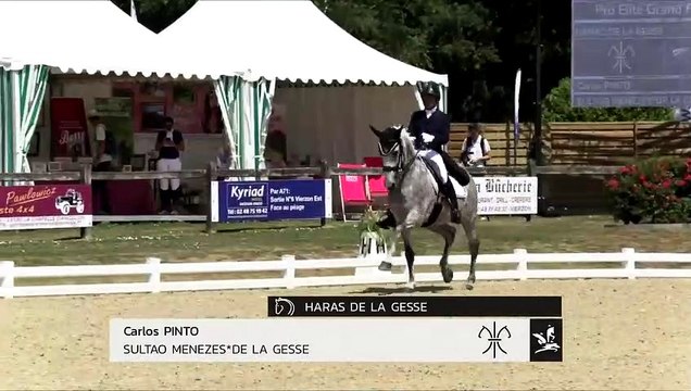 GN2019 | DR_04_Vierzon | Pro Elite Grand Prix - Grand National | Carlos PINTO | SULTAO MENEZES*DE LA GESSE