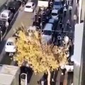 Gebze'de zabıta müdürü seyyar satıcıya yaptıkları müdahaleye tepki gösteren genci yol ortasında tekme tokat dövdü