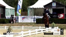 GN2019 | DR_04_Vierzon | Pro Elite Grand Prix - Grand National | Laurence VANOMMESLAGHE | IBANERO VAN DE VOGELZANG