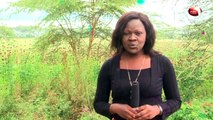 Magical Scenes: Lake Nakuru National Park in Kenya