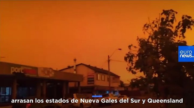 Hundreds of koalas dead as Australia battles savage bush fires