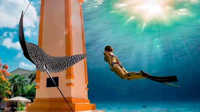 Cozumel/ Scuba Fest, el festival de buceo más importante del mundo