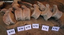 México desentierra secretos milenarios sobre la caza de los mamuts