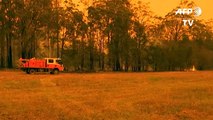 Decenas de incendios asolan el este de Australia