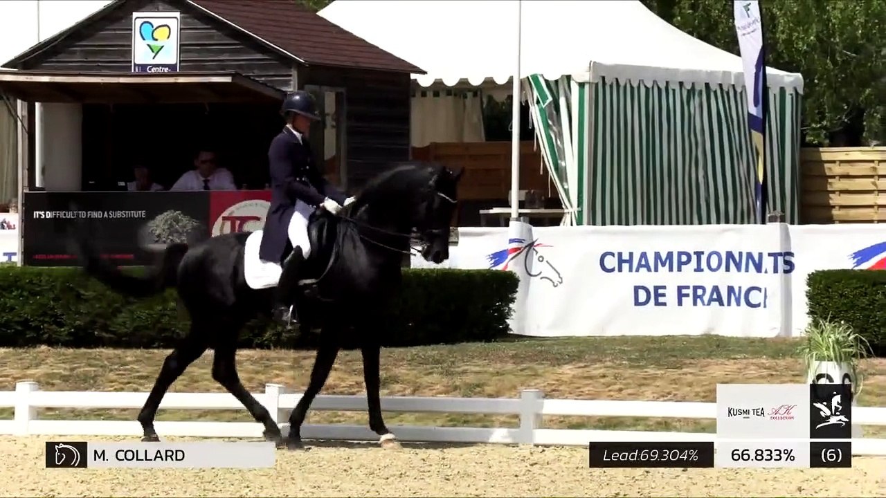 GN2019 | DR_04_Vierzon | Pro Elite Grand Prix - Grand National | Maxime COLLARD | CUPIDO PB