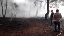Çanakkale bayramiç'te orman yangını; 20 dönüm alan kül oldu