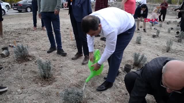 Çanakkale gelibolu yarımadası'nda 'lavanta tarla günü' etkinliği