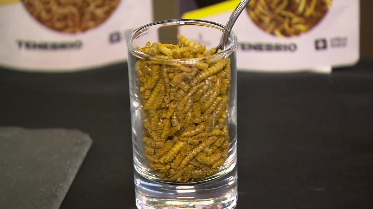 Anuga 2019 - The food of the future