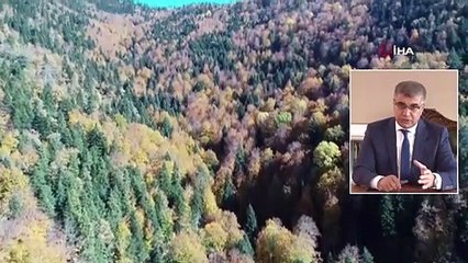 Türkiye'nin En Büyük Blok Ormanları Fotoğraf Tutkunlarını Bekliyor