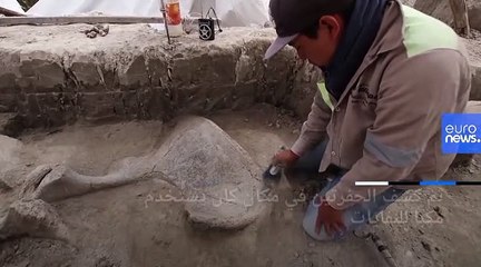 فيديو: حفلة شواء؟ العثور على بقايا 14 "ماموث" شمال العاصمة المكسيكية