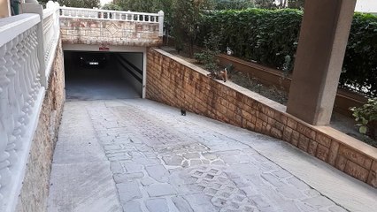 Mama Cat Decides it's Time to Go