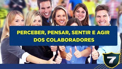 Cultura Organizacional Seven