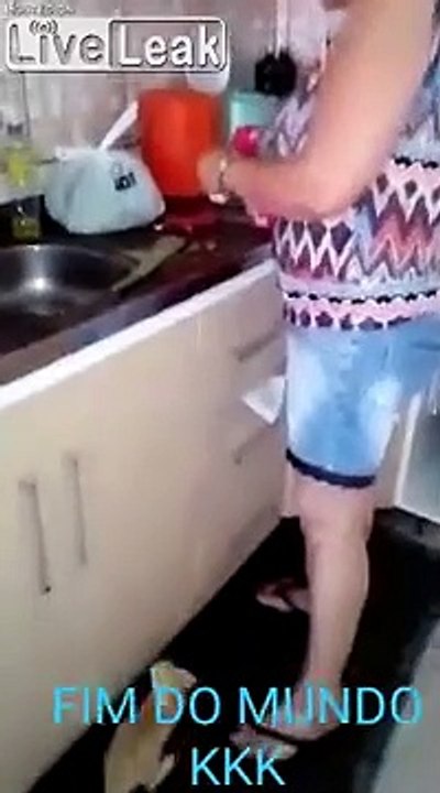 Ce bébé chat boit au biberon comme un bébé humain son lait !