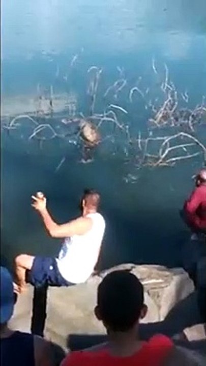 Ce serpent de 5m nage avec un animal dans le ventre ! Anaconda