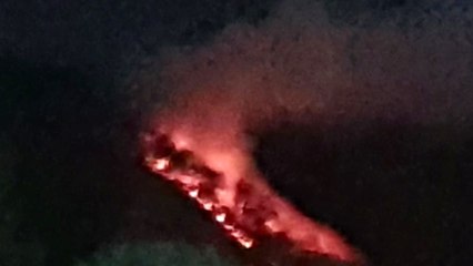 충남 보령 잔미산에서 불...진화 중 / YTN