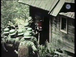 Todora 1979 - Ceo domaci film