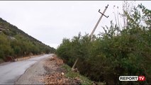 Report TV - Torovicë e Lezhës/ Linja elektrike që furnizon mijëra banorë është duke u rrëzuar!
