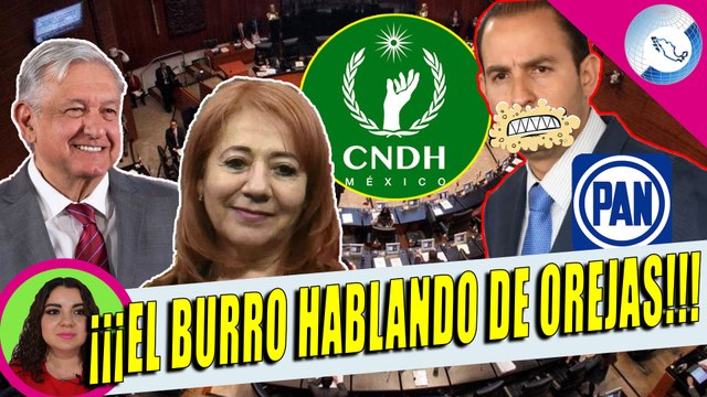 Revelan Que Marko Cortés Orquesta Ataque A Senadores De Morena Por Elecciones De CNDH