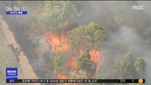 [이 시각 세계] 호주 극심한 가뭄에 '산불' 확산