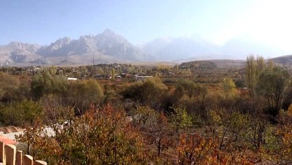 Avrupayı bırakıp köye yerleşti