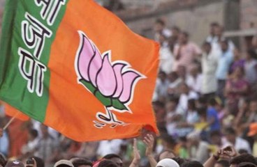 BJP got donations of over Rs 800 crore before Lok Sabha elections
