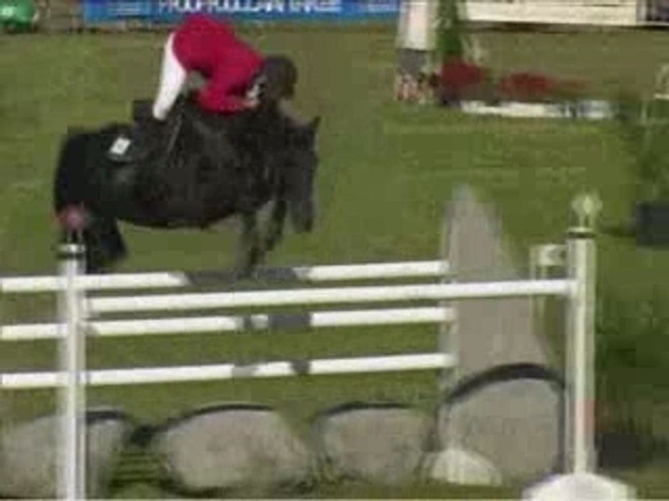Caballo de 9 años - clasificado en pruebas de 1m40