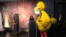 Sesame Street celebrates its fiftieth anniversary