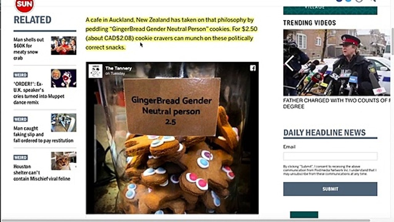 RISE OF THE GINGERBREAD GENDER NEUTRAL PERSON