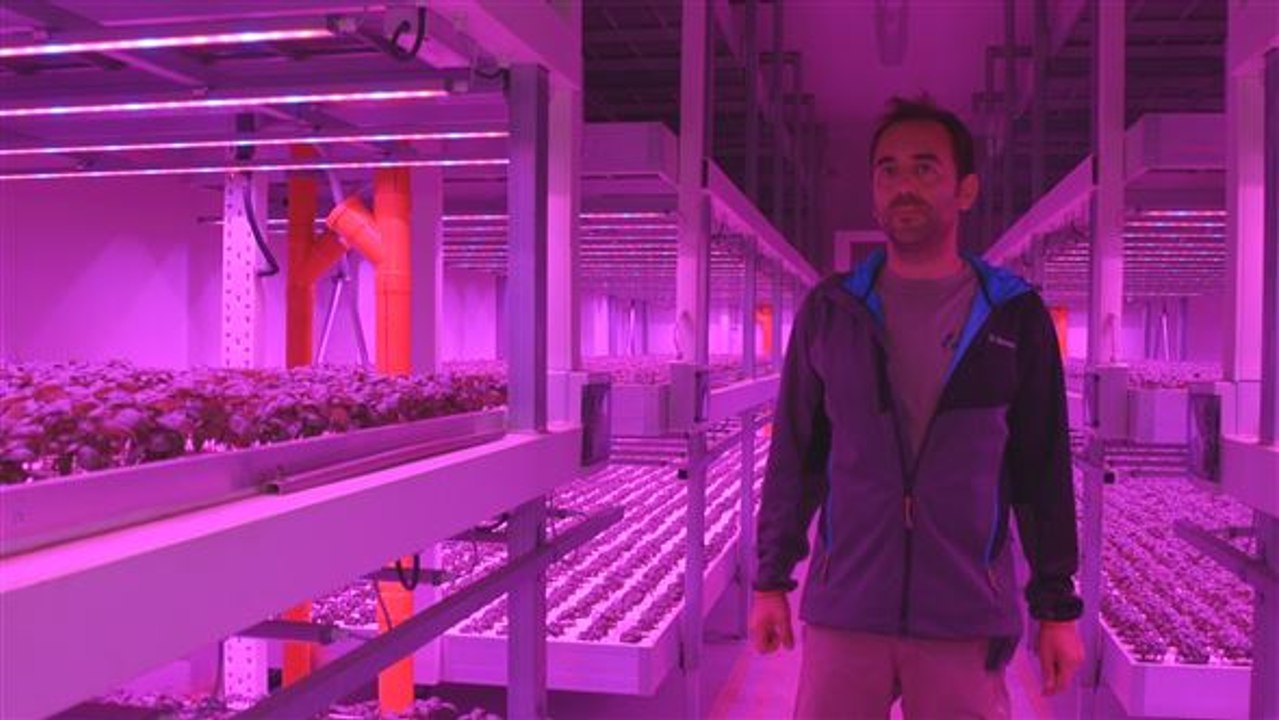 So sieht die Landwirtschaft der Zukunft aus