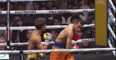 Nonito Donaire vs Naoya Inoue Full Fight
