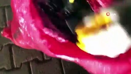 Terörün finans kaynağına büyük darbe, kullanıma hazır 489 kilogram esrar ele geçirildi