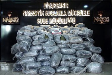 Terörün finans kaynağına büyük darbe,489 kilogram esrar ele geçirildi