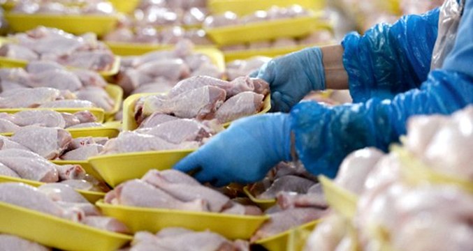 Keskinoğlu'nun konkordato süresi 6 ay daha uzatıldı