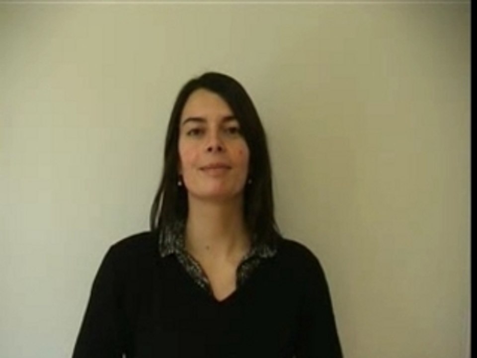 Bonne année2008