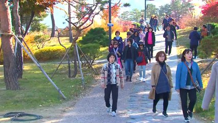 제8회 YTN 남산 가족 걷기대회...2천여 명 참석 / YTN