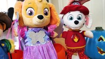 ¡El juguete educativo para niños de Paw Patrol Baby Pup Halloween-