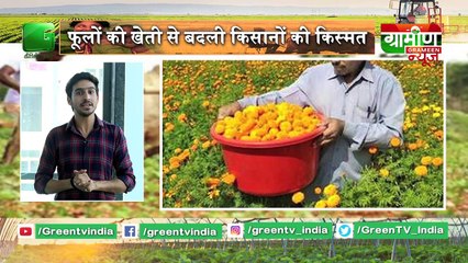 Gujarat सरकार का मॉडल बदल रहा Kisano की तकदीर  | Kisan Bulletin : Grameen News