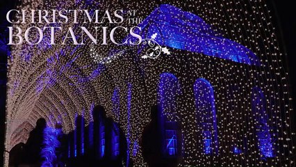 Edinburgh set to dazzle at Christmas at the Botanics 2019