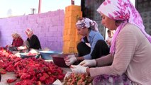 Şanlıurfa tarım işçisi kadınlar kooperatif kurdu, kendi ürünlerini satıyorlar
