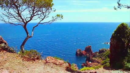 PHOTOS. NRJ Music Awards : qui a gagné le plus de prix depuis la création de la cérémonie ?