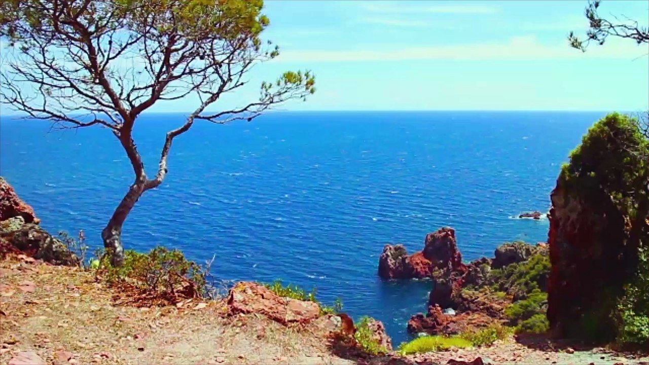 PHOTOS. NRJ Music Awards : qui a gagné le plus de prix depuis la création de la cérémonie ?