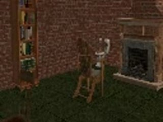 La foret mystérieuse