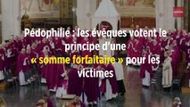 Pédophilie : les évêques votent le principe d'une « somme forfaitaire » pour les victimes