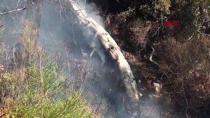 Muğla seydikemer'de orman yangını