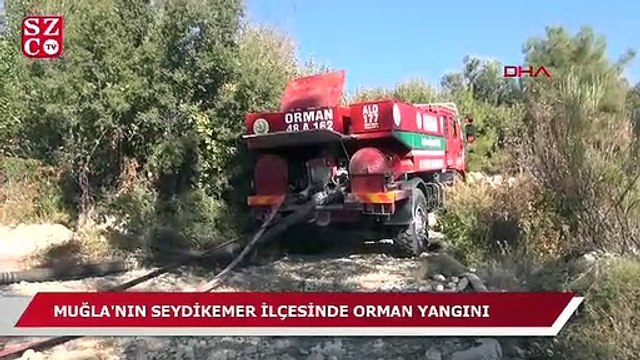 Seydikemer'de orman yangını