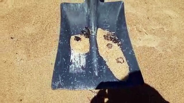 Mancha de óleo é encontrada na praia de Urussuquara, Norte do ES