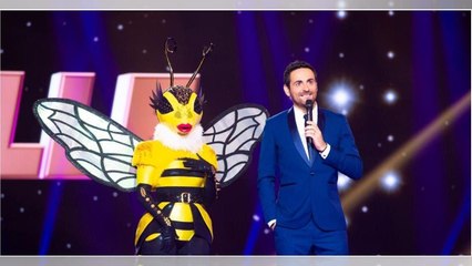 "Mask Singer" : les pronostics les plus délirants des téléspectateurs