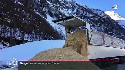 Neige : des réserves pour l'hiver