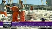 Uruguay aseguró exportación de 675 kilos de arándanos a China