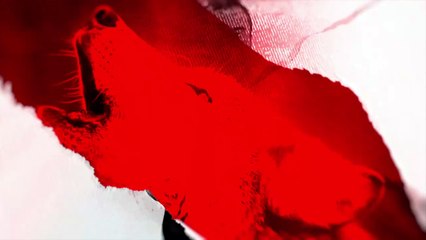 LOU/SR : la composition lyonnaise